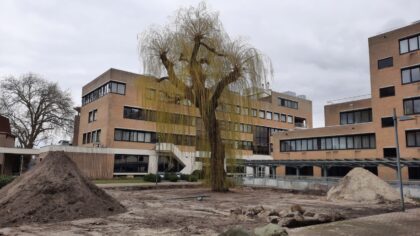 Treurwilg bij Stadskantoor wordt toch gekapt