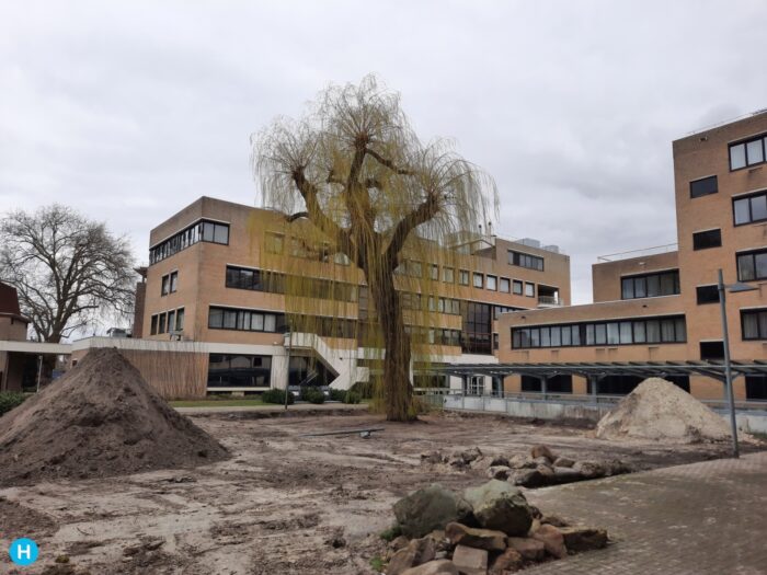 Treurwilg bij Stadskantoor wordt toch gekapt