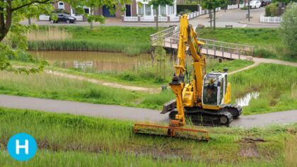 Niet iedereen blij met maaibeleid in Helmond