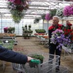 Tuincentrum Peter van Gennip nog eenmalig in bloei