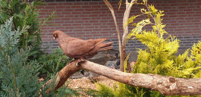 Nieuwe volières voor dierenpark De Warande