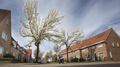 Leonardusbuurt en Steenweg aan de beurt voor glasvezel