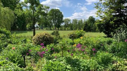 Groei & Bloei open tuinendag 22 augustus