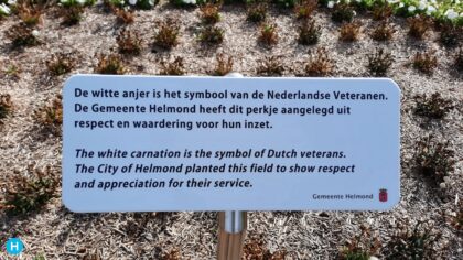 Witte Anjerperkje voor veteranen ligt er troosteloos en verdord bij