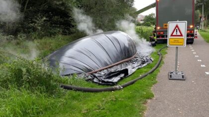 Gemeente roeit Japanse duizendknoop uit met stoom