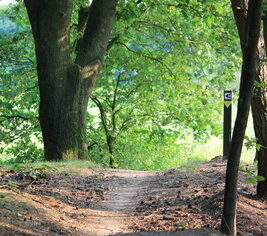 Helmtocht van Tourclub ’81 gaat niet door