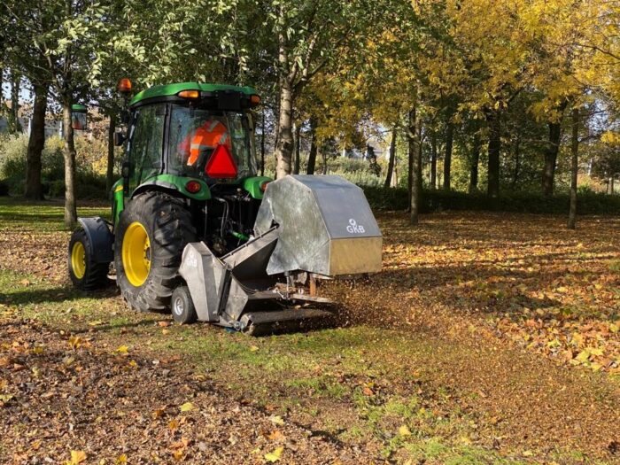 Gemeente laat gevallen bladeren liggen