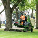 De kracht van lokale samenwerking: groenonderhoud en werkkansen voor Helmonders gaan hand-in-hand