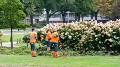 Lokale samenwerking: onderhoud en werkkansen gaan hand-in-hand