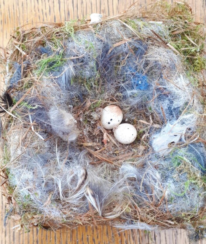 Leven en dood in de natuur