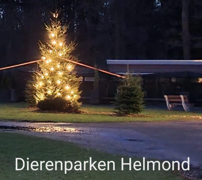Kerstboom Dierenpark Warande voor lieve wensen