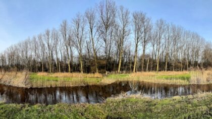 Wandeling in beekdal Bakelse Beemden