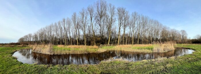 Wandeling in beekdal Bakelse Beemden