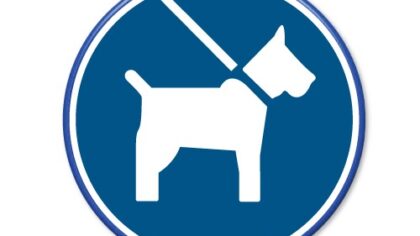 Honden zijn aangelijnd welkom in centrum van Helmond