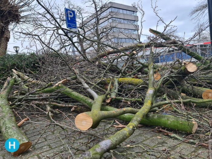 Weer harde windstoten verwacht