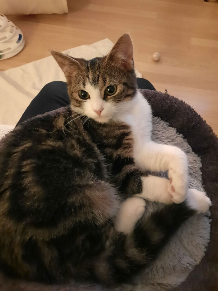 Dier van de Week Sasha
