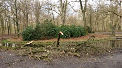 Stormschade Eunice in Helmond valt wel mee