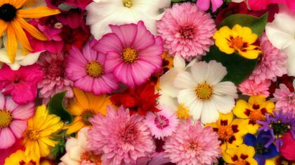 Bloemschikworkshop thema: Lente