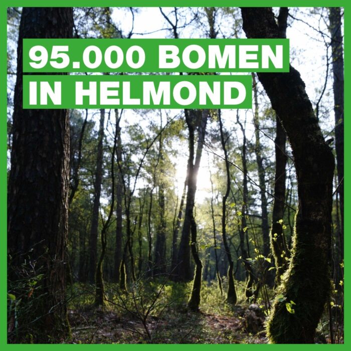 Ook in Helmond: extra boom voor elke Brabander