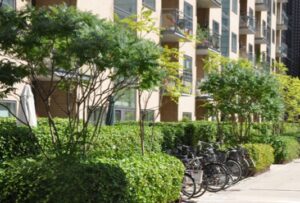 voorbeeld groene straat