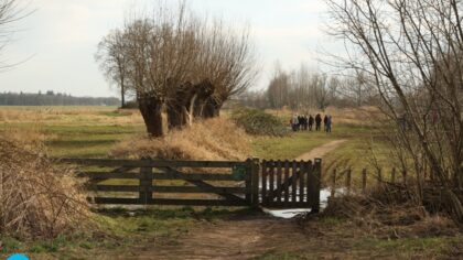 Wandeling rond Berkendonkse plas en Bakelse Aa
