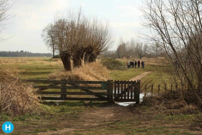 Wandeling rond Berkendonkse plas en Bakelse Aa