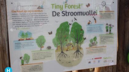 De Stroom viert verjaardag Tiny Forest