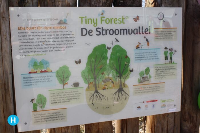 de Stroom