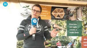 Cathalijne Dortmans stopt als wethouder van gemeente Helmond
