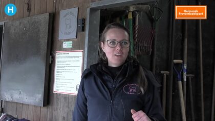 Preventie akkoord: ook pony’s houden niet van roken