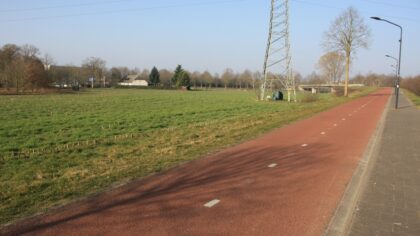 Creatief zijn met ruimte voor bomen
