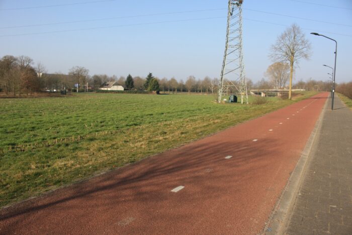 Creatief zijn met ruimte voor bomen