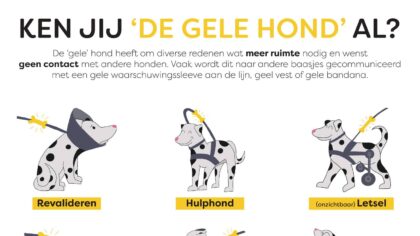 Hond met een geel lintje? Dit betekent het