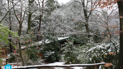 Brouwhuis: wandelen in een witte wereld van rust en schoonheid