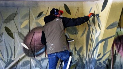Alweer een prachtige muurschildering gemaakt in Helmond