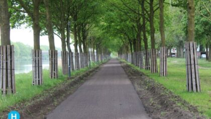 Jongen (17) zwaargewond gevonden op fietspad: verdachte (21) gepakt