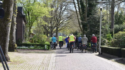Meer Helmondse bomen beter beschermd