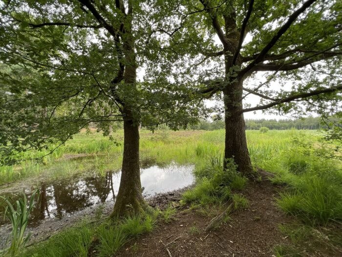 IVN wandeling Molenheide
