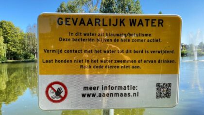 Heb jij een vermoeden van blauwalg bij jou in de buurt?