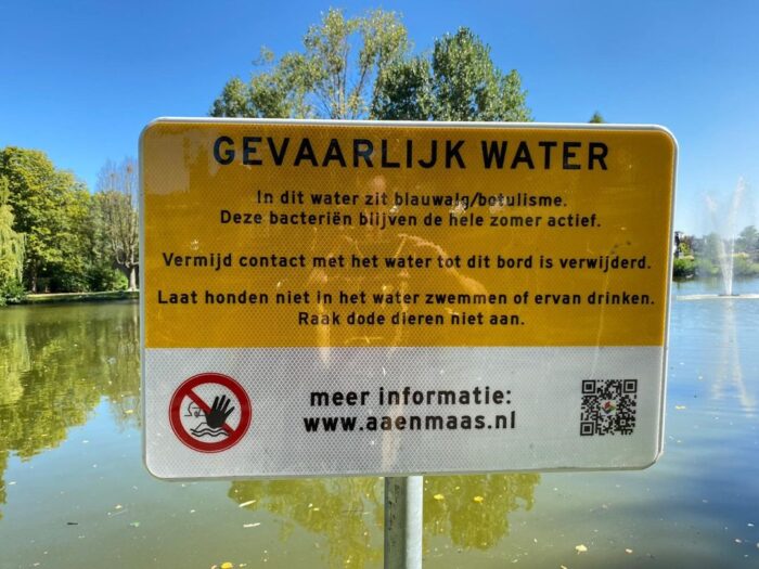 Heb jij een vermoeden van blauwalg bij jou in de buurt?