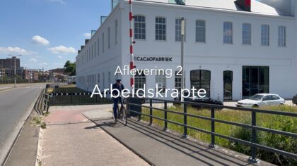 Albert van der Voort Bruggenwachter afl.2 Arbeidskrapte