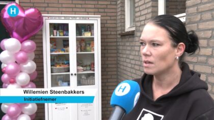 Deelkastje in Vincent van Goghlaan Helmond