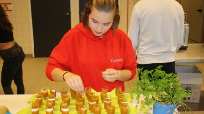 Pastinaak Power Snack grote winnaar
