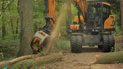 Warandepark : boswerkzaamheden in een razend tempo