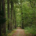 Helmondse Klimaatconferentie voor inwoners