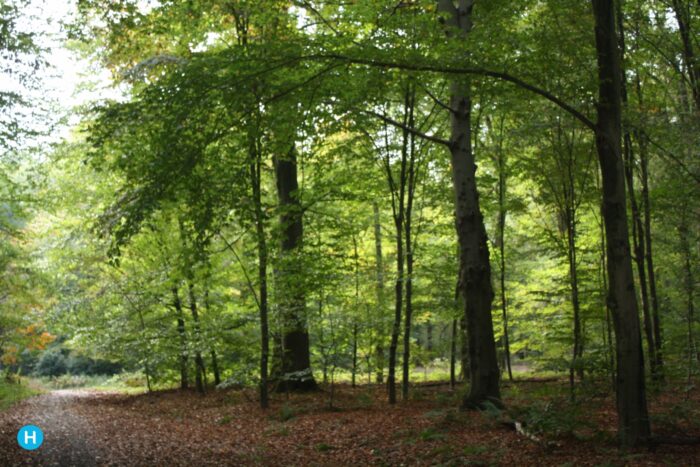 De Natuurwerkdag komt er weer aan