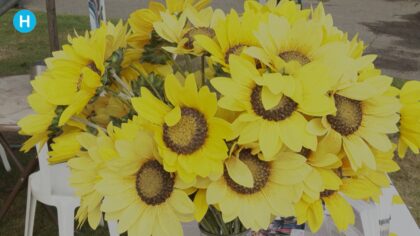 Zonnebloem Groot Helmond voor mensen met lichamelijke beperking