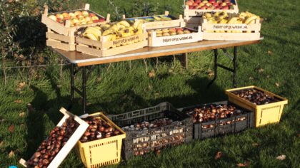 Warandepark maakt zich klaar voor Kleine Keukenhof avontuur