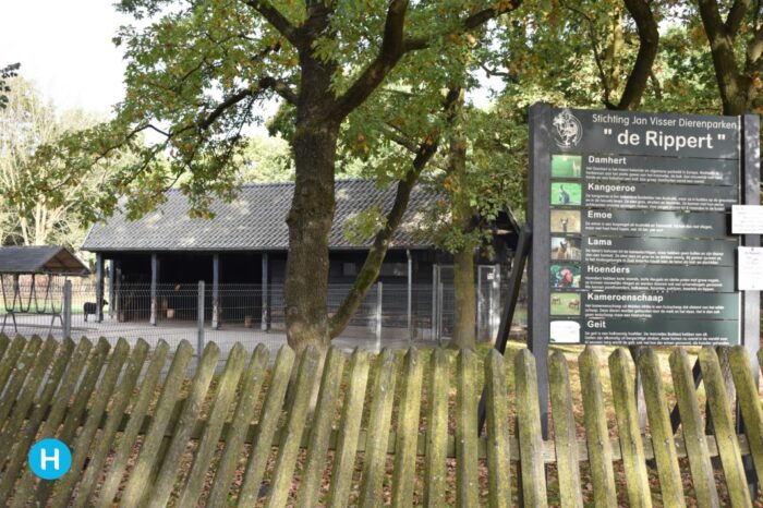 Jonge alpaca in dierenpark De Rippert overleden