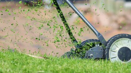 Hoe maak je het mooiste gazon: Tips voor een mooie tuin